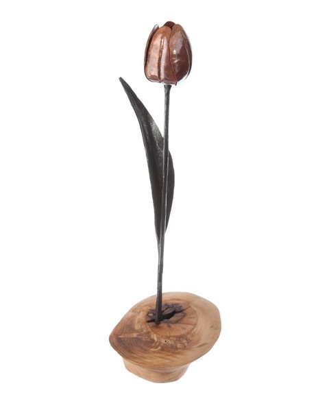 Wrought Tulip Wrought Tulip